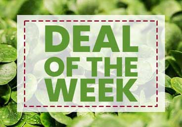 Deal Of The Week