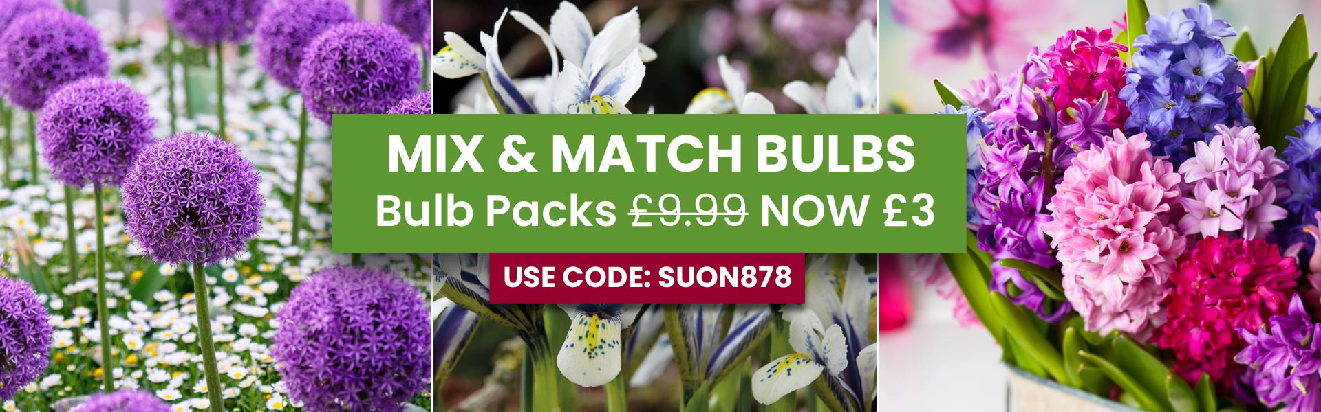 Bulb Mix and Match