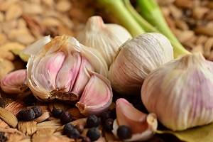 Garlic Bulbs & Plants