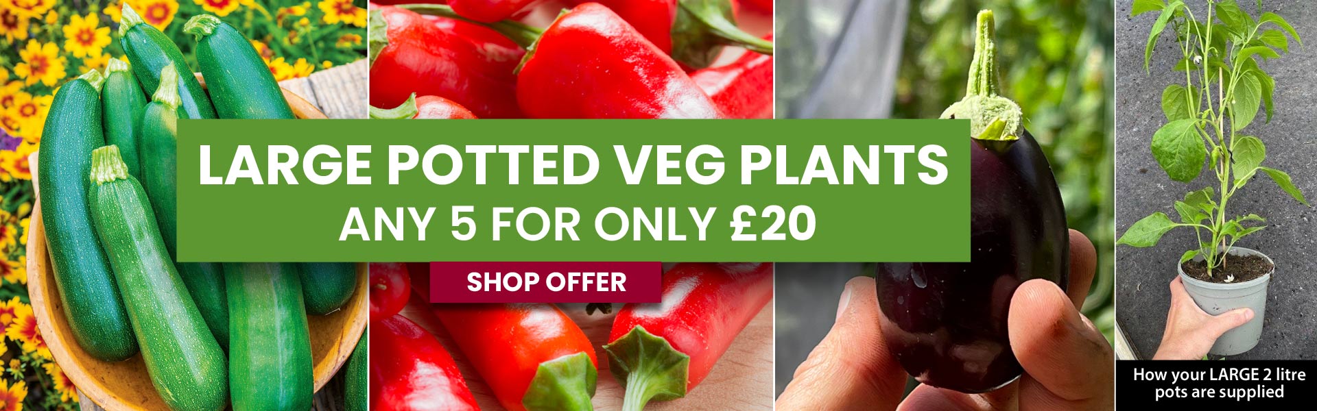 LARGE Vegetable Pick & Mix Offer