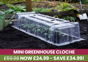 Deal Of The Week