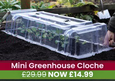 Deal Of The Week