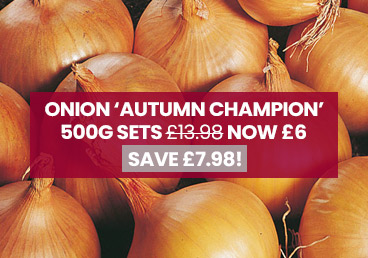 Deal Of The Week