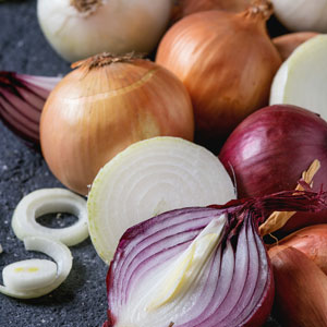 Onion Sets