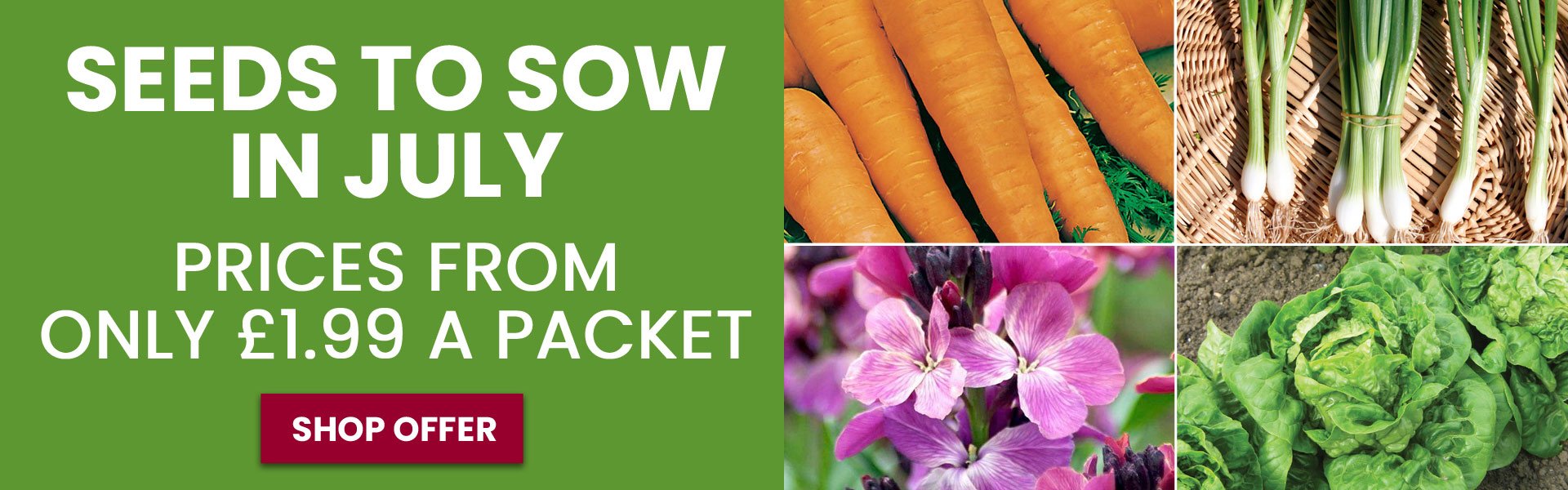 Seeds to Sow in July