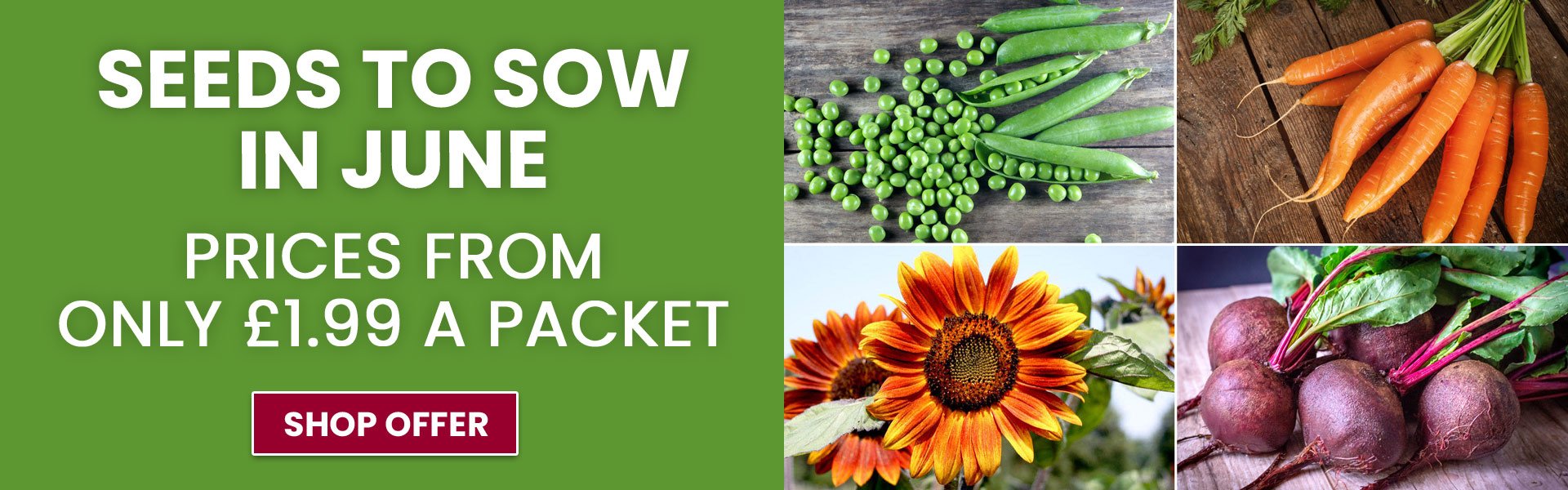 Seeds to Sow in June