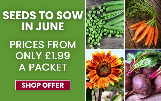 Seeds to Sow in June