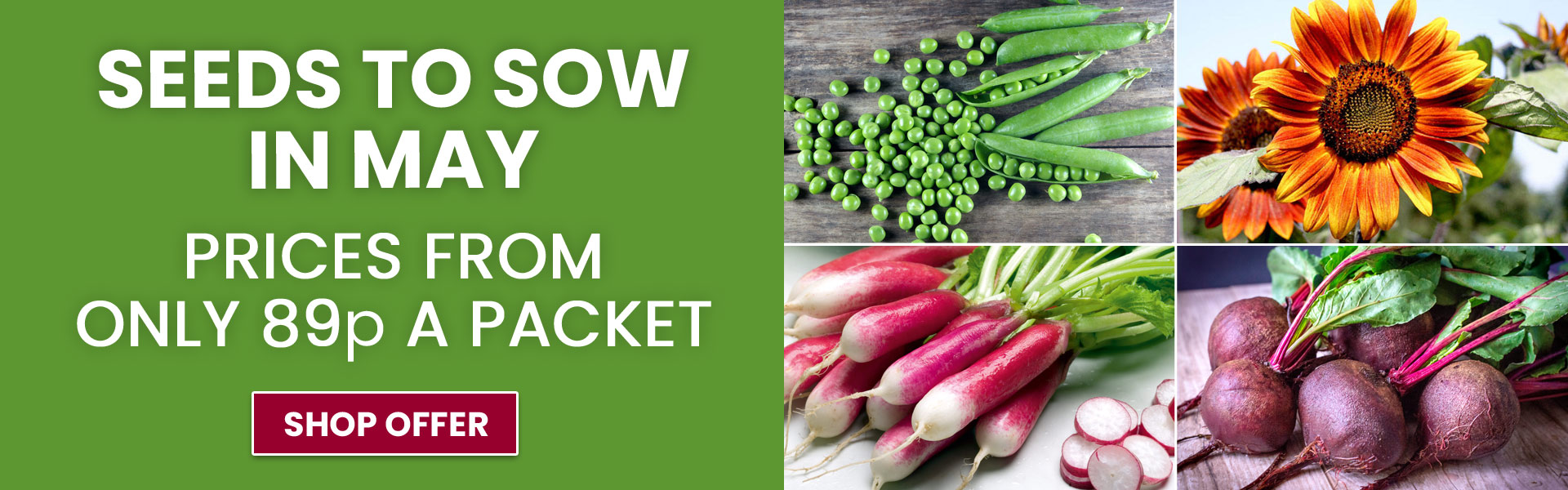 Seeds to Sow in May