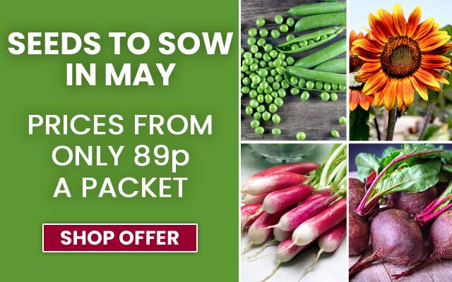 Seeds to Sow in May