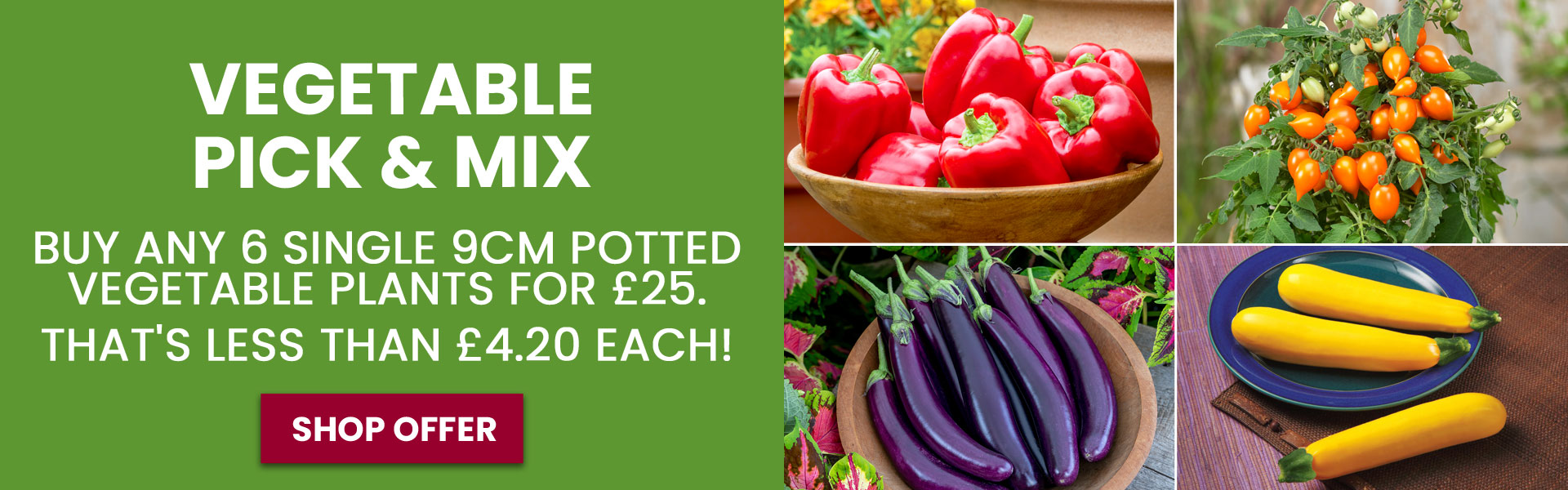 Vegetable Mix & Match