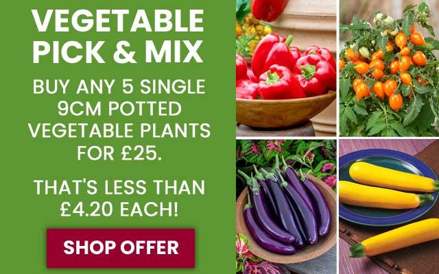 Vegetable Mix & Match