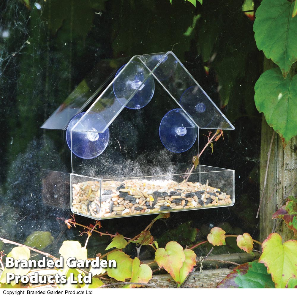 Kingfisher Plastic Window mounted Bird Feeder