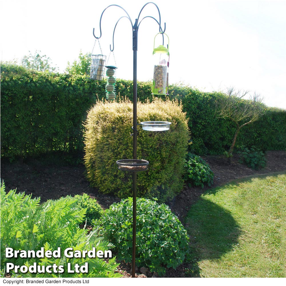 Kingfisher Deluxe Bird Feeding Station with Feeders