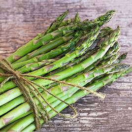 Asparagus Ariane F1 - Seeds