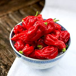 Pepper Chilli Seeds - Carolina Reaper