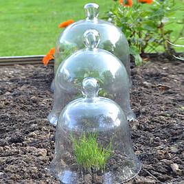 Bell Glass Cloches