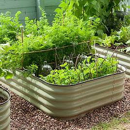 Original Veggie Bed