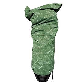 Plant Cover