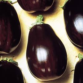 Aubergine Black Beauty (Organic) Seeds