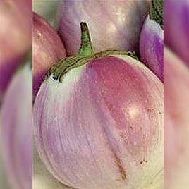 Aubergine Rosa Bianca - Organic Seeds