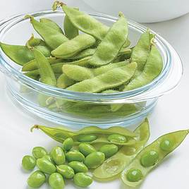 Soya Bean Edamame Summer Shell - Organic Seeds