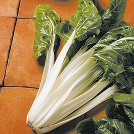 Chard Swiss Silver (Organic) Seeds