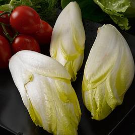 Witloof Chicory Zoom (Organic) Seeds