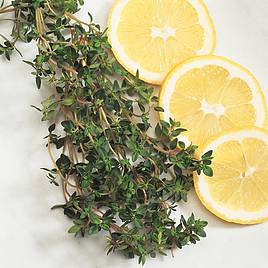 Herb Thyme - Organic Seeds