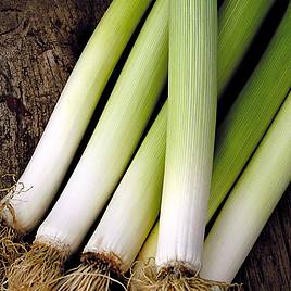Leek De Caretan - Organic Seeds