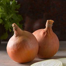 Onion Sturon (Organic) Seeds