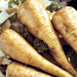 Parsnip (Organic) Seeds - Tender and True