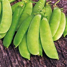 Pea Herald - Organic Seeds