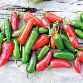 Chilli Pepper - Early Jalapeno (Organic) Seeds