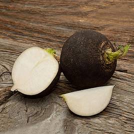 Radish Black Spanish Round - Organic Seeds