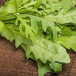 Rocket Salad Rucola - Organic Seeds