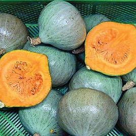 Squash & Pumpkin Blue Ballet (Organic) Seeds