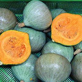 Squash & Pumpkin Blue Ballet - Organic Seeds