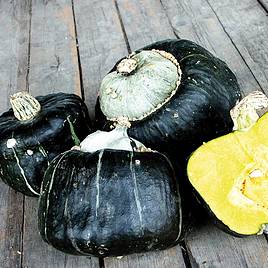 Squash & Pumpkin Buttercup - Organic Seeds