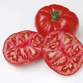 Tomato Country Taste F1 (Indeterminate) - Organic Seeds