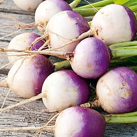 Turnip White Globe (Organic) Seeds