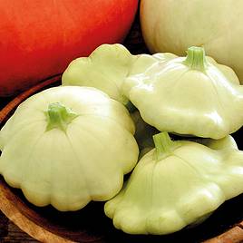 Squash Bennings Green Tint (Organic) Seeds