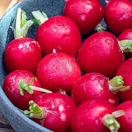 Radish Sora - Organic Seeds