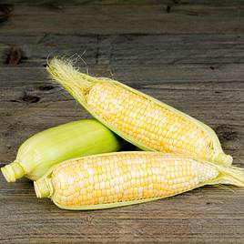 Sweet Corn - My Fair Lady F1 (Organic) Seeds