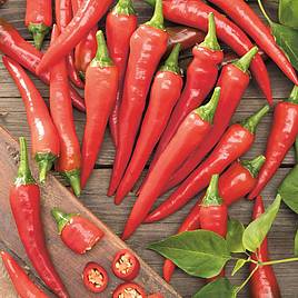 Chilli Pepper - De Cayenne (Organic) Seeds