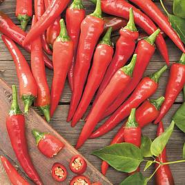 Chilli Pepper De Cayenne - Organic Seeds