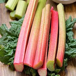 Rhubarb - Glaskins Perpetual (Organic) Seeds