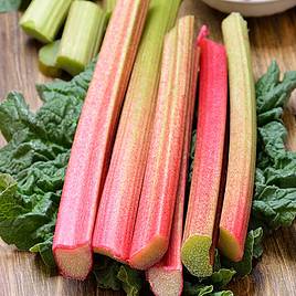 Rhubarb Glaskins Perpetual - Organic Seeds