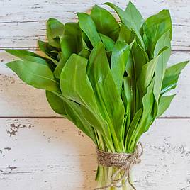 Wild Garlic - Organic Seeds