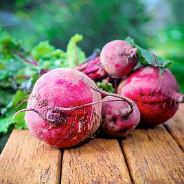 Beetroot Boltardy (Globe)