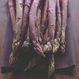 Asparagus Burgundine (Spring Planting)
